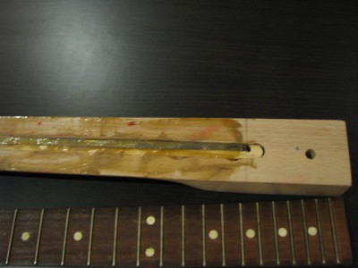 gryf 003.jpg