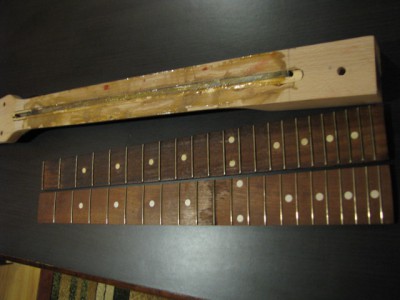 gryf 001.jpg