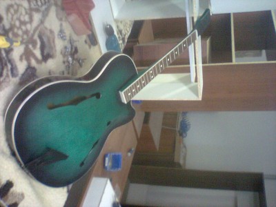 gitara 1.jpg