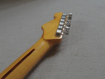 dg010.JPG