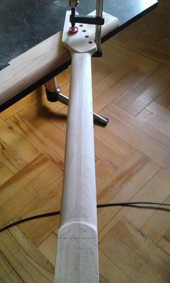 WP_20160705_002.jpg