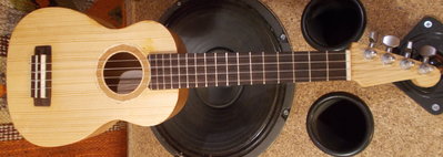 DSCN0632.JPG
