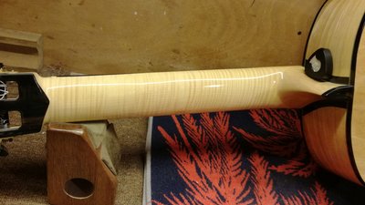 IMG_20170308_191035 (Medium).jpg